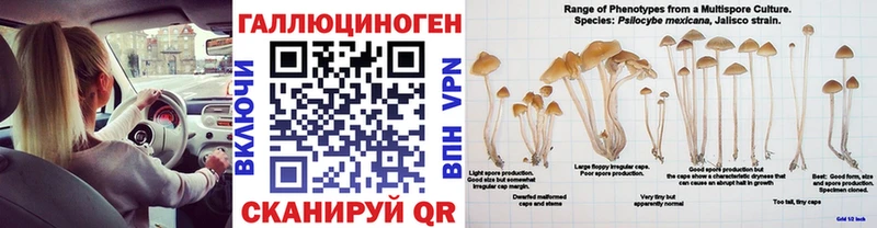 Псилоцибиновые грибы Magic Shrooms  Уяр 